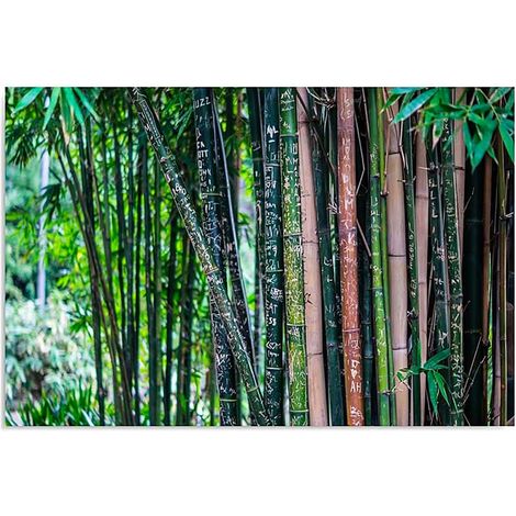 Tableau bambou 3 - 70 x 50 cm (1/5)