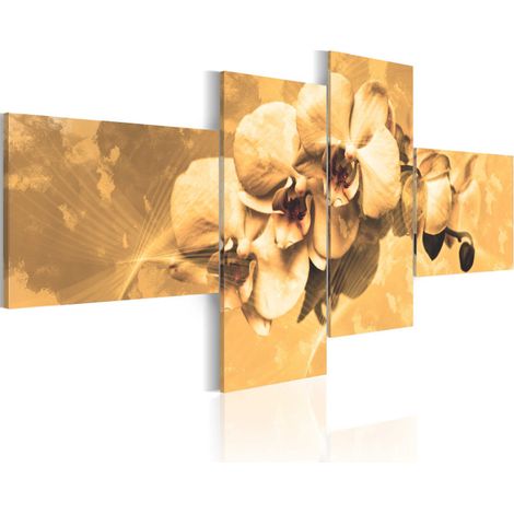 Tableau Imprimé "Orchidées en Sépia" 45 x 100 cm (1/2)