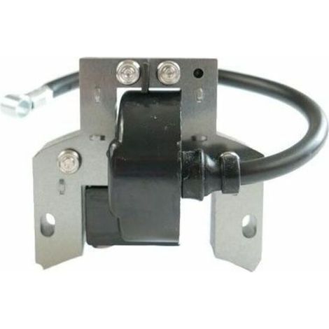 Bobine allumage Briggs et Stratton 591420 (1/4)