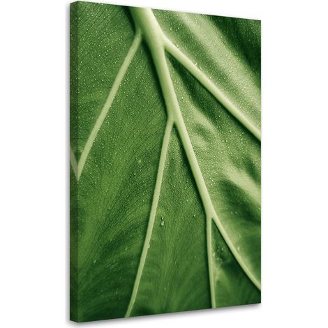 Tableau sur toile Gouttes de rosée sur la feuille en macro 70x100 (1/5)