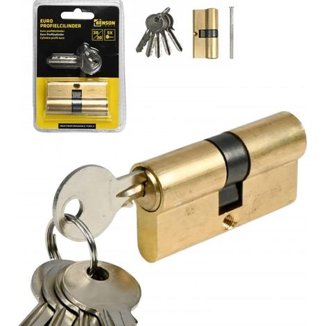 Cylindre de Serrure Profilé Euro 30x30 mm. Barillet 60 mm. Fourni avec 5 clés et 1 vis de fixation. Canon de serrure porte d’entrée, porte extérieure ou porte intérieure. (1/5)