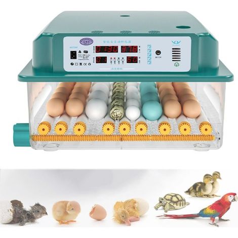 Couveuse Oeuf Automatique 24-36 Oeufs, Incubateur Oeuf Automatique, Retournement Automatique des œufs et Surveillance de l'humidité, Numérique Incubateur d'oeufs de Ferme - RWCouveuse et incubateur po (1/5)