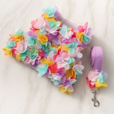 Harnais Chien - Collier Harnais Réglable en Polyester et Coton - Pour Chiens Petits et Moyens comme Chihuahua et Poméranien - Floral - Taille S M L (1/5)