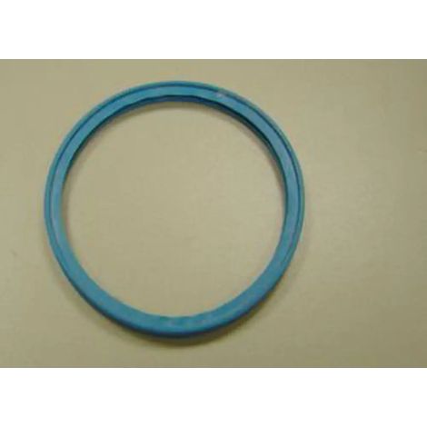 Remeha Guarnizione labbro D.100, 97930219