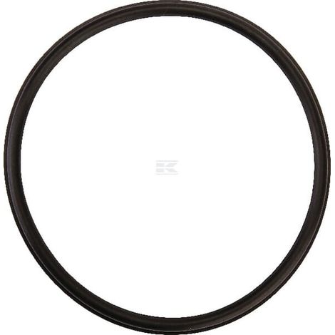 Lippendichtung 6" BP BATTIONI PAGANI SA2