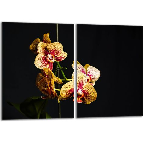 Glasschutzplatte für den Herd 2x40x52 Orchidea (1/5)