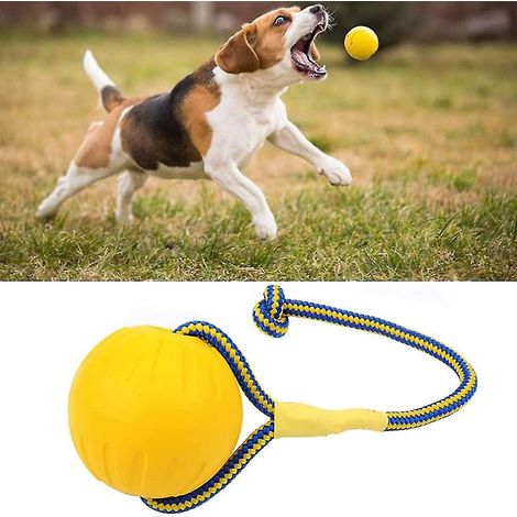 Interaktiver Kauball für Hunde mit Seil – 7 cm Durchmesser (1/4)