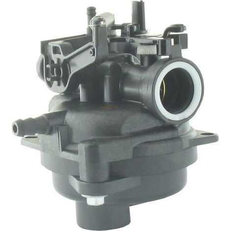Carburatore Briggs et Stratton 591109