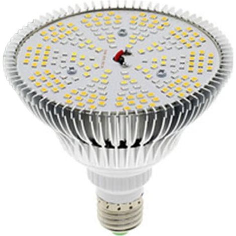 Lampe horticole LED 300 W E27 à spectre complet pour la croissance, idéale pour les serres, la floraison et l'hydroponie. (1/5)