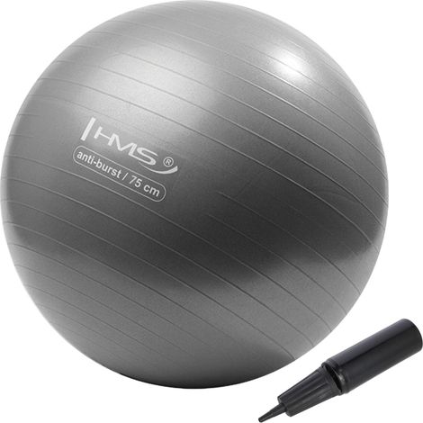 75 cm grauer Gymnastikball - platzsicher, rutschfest