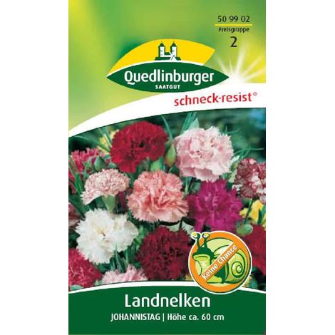 Landnelke kaufen, Johannistag, Nelken Samen, Sommerblumen (1/2)