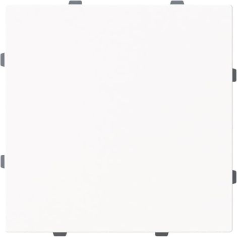 BUSCH-JAEGER 1742-44M PLAQUE CENTRALE OBTURATEUR AVEC BAGUE DE SUPPORT, TYPE LINÉAIRE, BLANC STUDIO MAT (2CKA001710A4212)