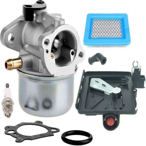 Carburatore per tosaerba - Briggs & Stratton - Modello 799868 - Compatibile con Briggs & Stratton 14111 (1/5)