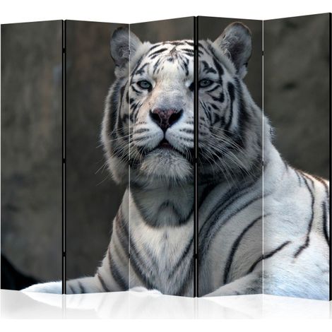 Paravent 5 Volets "Bengali Tiger in Zoo" 172x225cm (1/2)