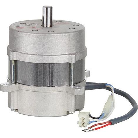 Moteur Riello 3008938