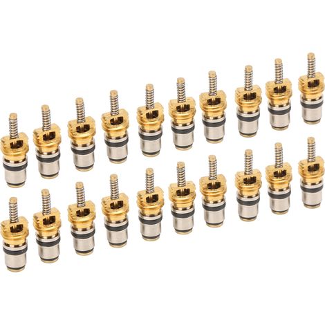 20 pièces noyau de valve haute pression pour climatisation auto, outil de dépose de tige de pneu pour Peugeot (1/5)