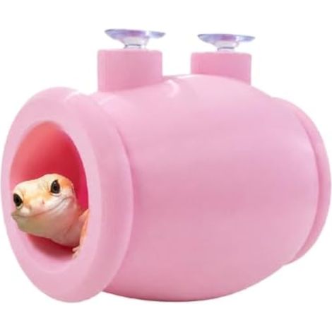 Barbu Dragon Grotte Cylindrique Escalade Jouet Ventouse (1/5)