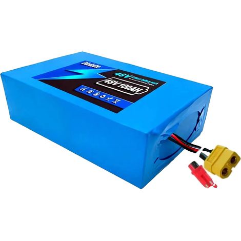 Pack de batterie lithium, capacité 100AH, design léger, JST XT60-a (1/2)