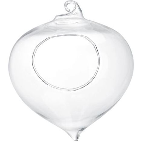Suspension Plante Transparente Cultivation Hydroponique Verre- (1/2)