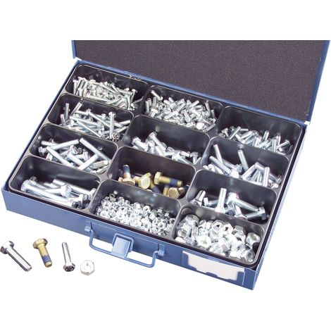 Assortiment de 750 vis et écrous six pans en acier zingué – 50 x M5 x 20, 30, 40 – 50 x M6 x 16, 25, 40 – 25 x M8 x 25, 50 – 10 x M10 x 30, 40, 60