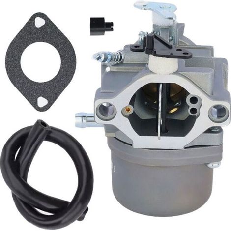 Carburateur pour Briggs & Stratton GO2549 10.5 HP Remplace 794457 0305-4A Compatible avec Moteurs 10.5HP 0305-4A Kit de Rem (1/5)