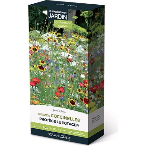 Prairies fleuries : j'attire les coccinelles 30 m2