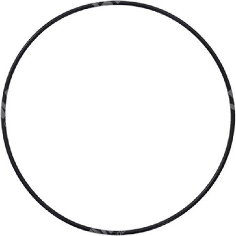 O-ring s100 PL AG 500 - TLE 48 COMPATIBILE - 028418