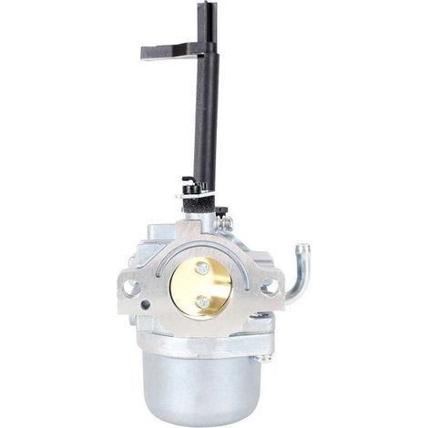 Compatible avec carburateur 697978 pour Briggs Stratton Nikki 695115 591378 030430 695114 Convient aux générateurs Storm Responder 5500 (1/3)