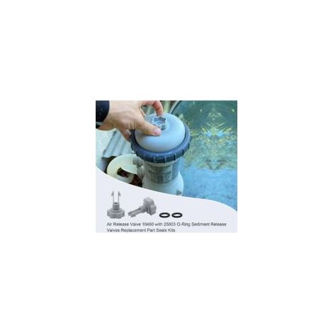 Ersatzteile für Poolfilterpumpen: 10460 Entlüftungsventile mit O-Ringen für Intex-Filterpumpen (2 Stück) - Crezuo