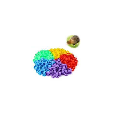 250 Stück Hühnerringe, 16 mm Taubenringe, klare und gut lesbare Geflügelringe für Hühner, Gänse, Enten und Nutztiere (1/5)