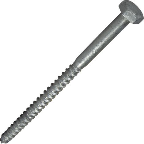 Tirefond en acier galvanisé C3 - TH (25 pièces) - Ø12x100mm - SCELL-IT EX-5044671