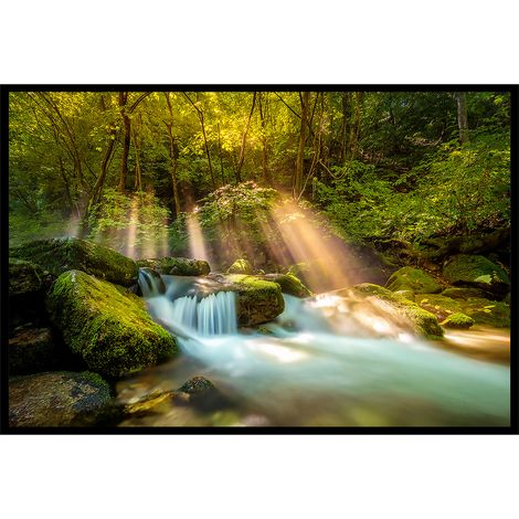 Affiche encadrée ruisseau en forêt baigné de lumière (1/5)