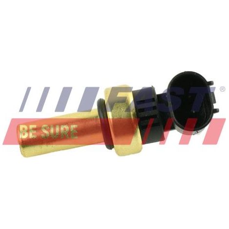Sensore rapido di temperatura dell'acqua FT80146
