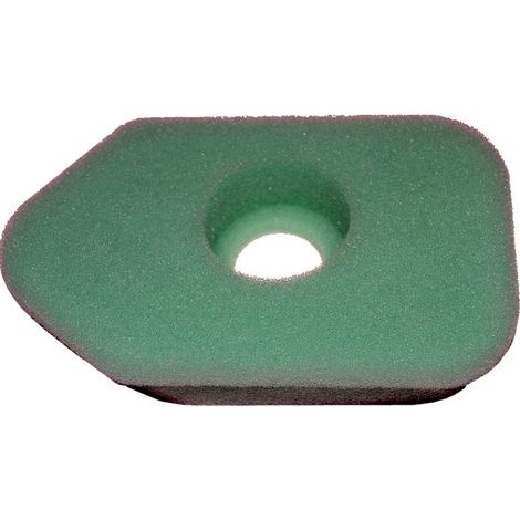 Filtre à air BRIGGS ET STRATTON 272235
