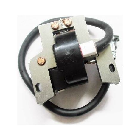 Bobina accensione elettronica compatibile BRIGGS & STRATTON 398593 trattorino 2 HP