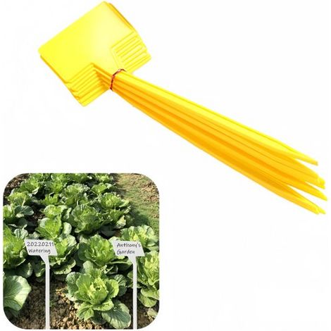 Paquete de 30 etiquetas/estacas para plantas, Superficie angulada para facilitar la lectura, Estacas para vivero (modelo en T), 30 x 9 x 4,5 cm (1/5)