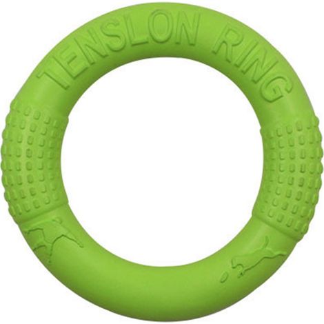 Anneau volant pour animaux de compagnie, jouet résistant aux morsures, disque flottant interactif en EVA pour chien, entraînement pour chiot, à mâcher, petit vert (1/5)