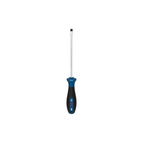 Bosch PRO Schraubendreher SL 1,0 x 5,5 x 125 mm - 1600A039S3 (1/4)