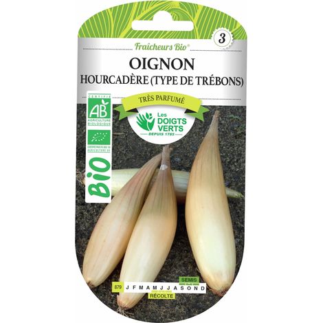 Graines d'oignon Hourcadère type de Trébons BIO – Semis septembre à octobre – Récolte mai à juillet – Graines pour potager – Les Doigts Verts