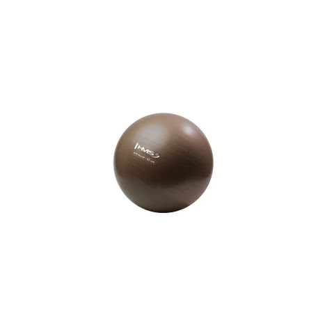 Ballon de gym anti-éclatement YB02 neuf de 65 cm HMS