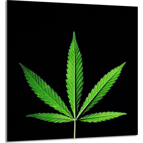 PANEL DE VIDRIO PARA COCINA 60x65 Hoja (1/5)