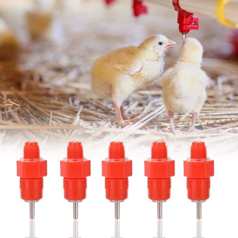 100 abreuvoirs automatiques à tétine pour volailles (poules, canards, oies) (1/5)