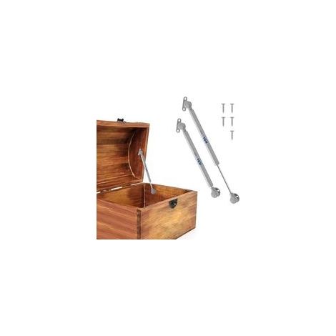 Charnières coffre soft-close pour couvercles lourds x2