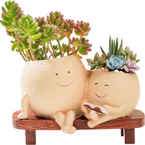 Pot de Fleurs avec Smiley Pot pour Plantes succulentes Pots décoratifs pour l'intérieur avec Trous de Drainage Cadeaux créatifs et Amusants pour la Maison et Le Jardin (1/5)