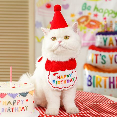1 bavoir déguisement d'anniversaire pour chien ou chat - Bavoirs assortis mignons pour tous les jours - Chapeau en feutrine (1/4)
