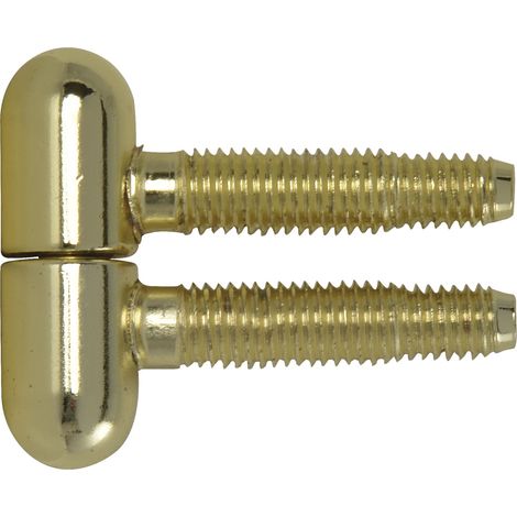 SFS Einbohrband Türband 3-Stufengewindebolzen ø13mm mit Rundkopf Stahl vergoldet (1/3)