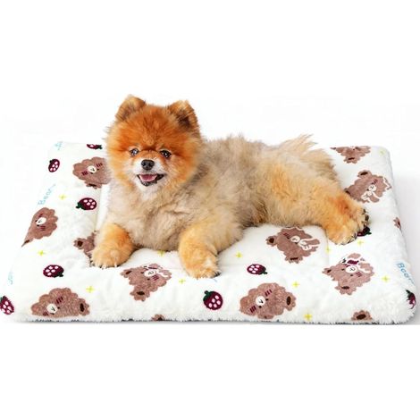 Alaise pour Chien Tapis Rafraîchissant Chat Tapis Chien Lavable (1/5)