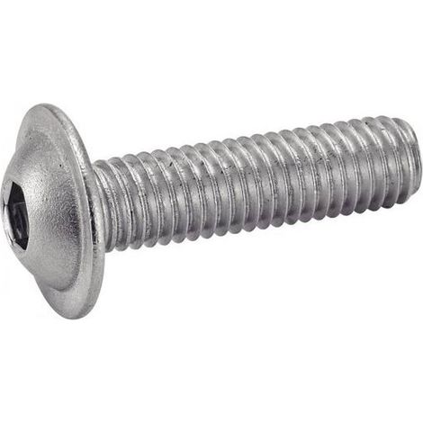100 Vis à Métaux Tête Bombée Six Pans Creux à Embase 8 x 20 mm - ISO 7380-2 - Inox A2 - D-Work