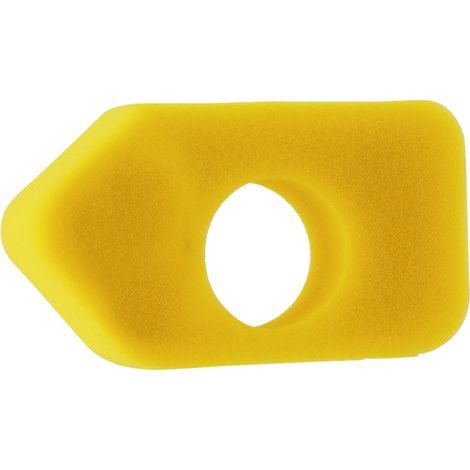 Filtro aria per BRIGGS STRATTON 698369