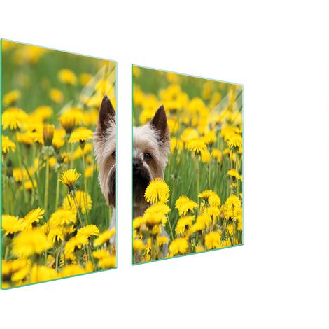 PLATO DE VIDRIO Y TABLA DE CORTAR 100x52 PERRO (1/5)